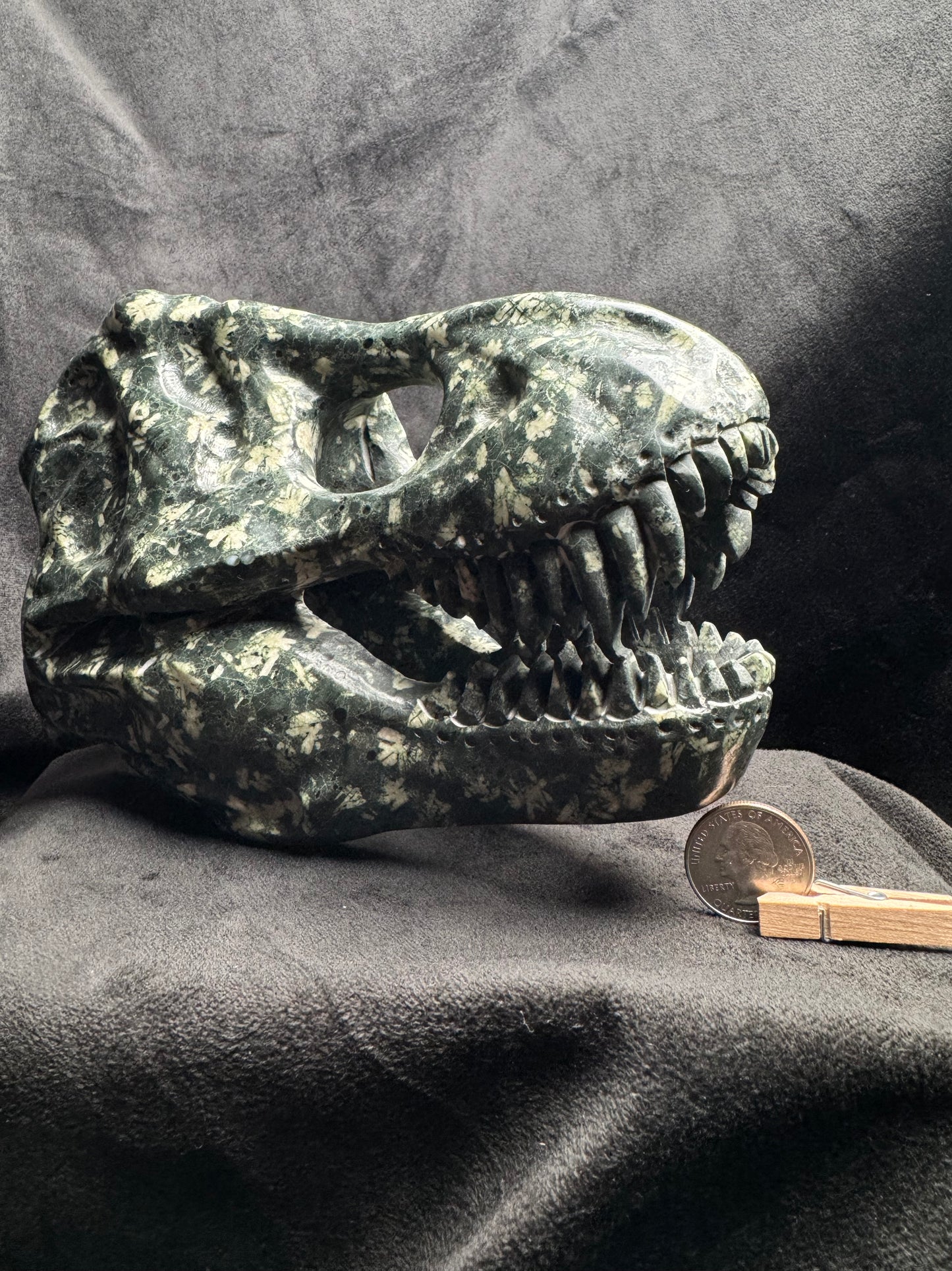 T. Rex Slull Carving (Feldspar in Andesite)