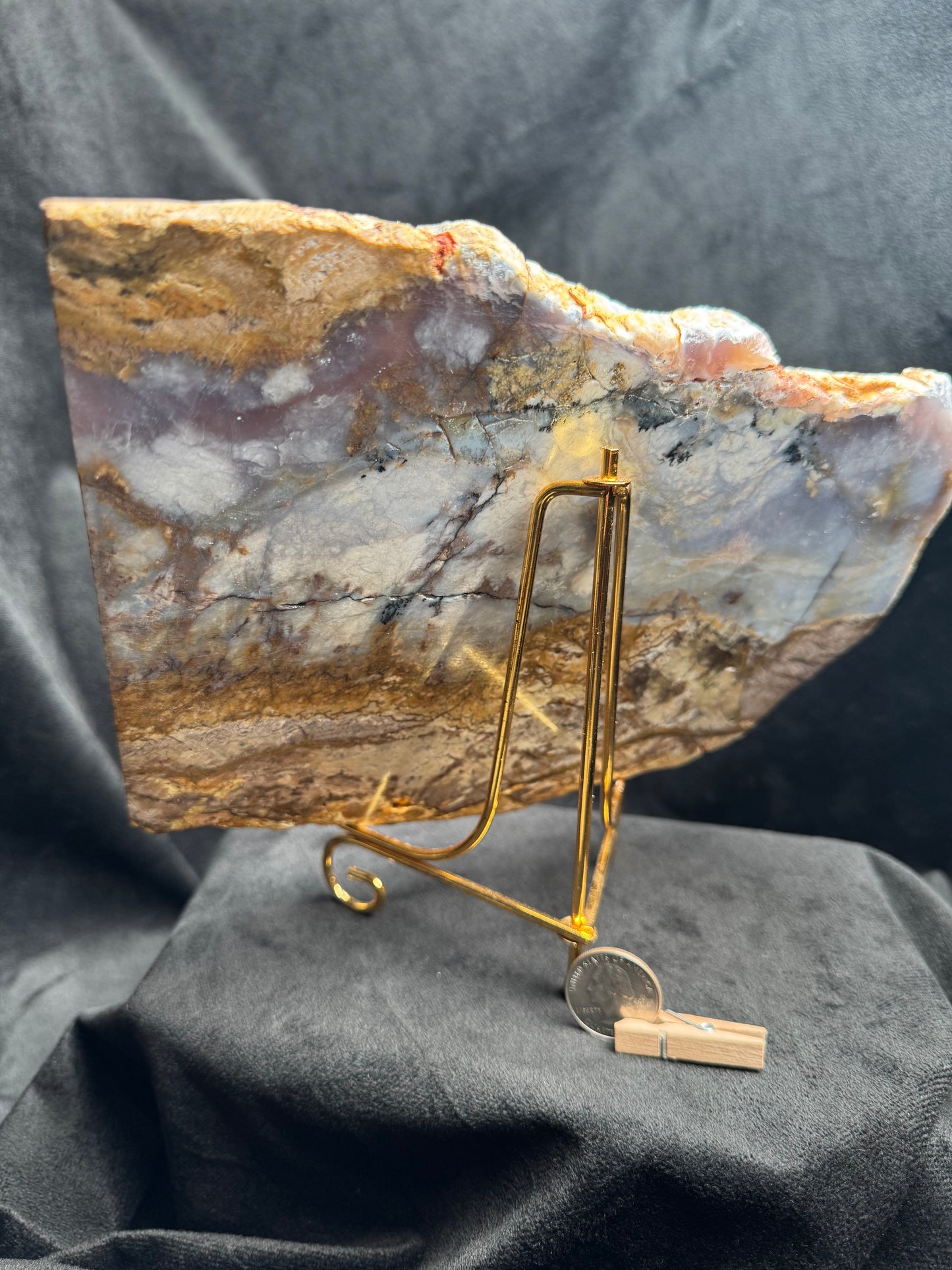 Blue Forest Petrified Wood Slab