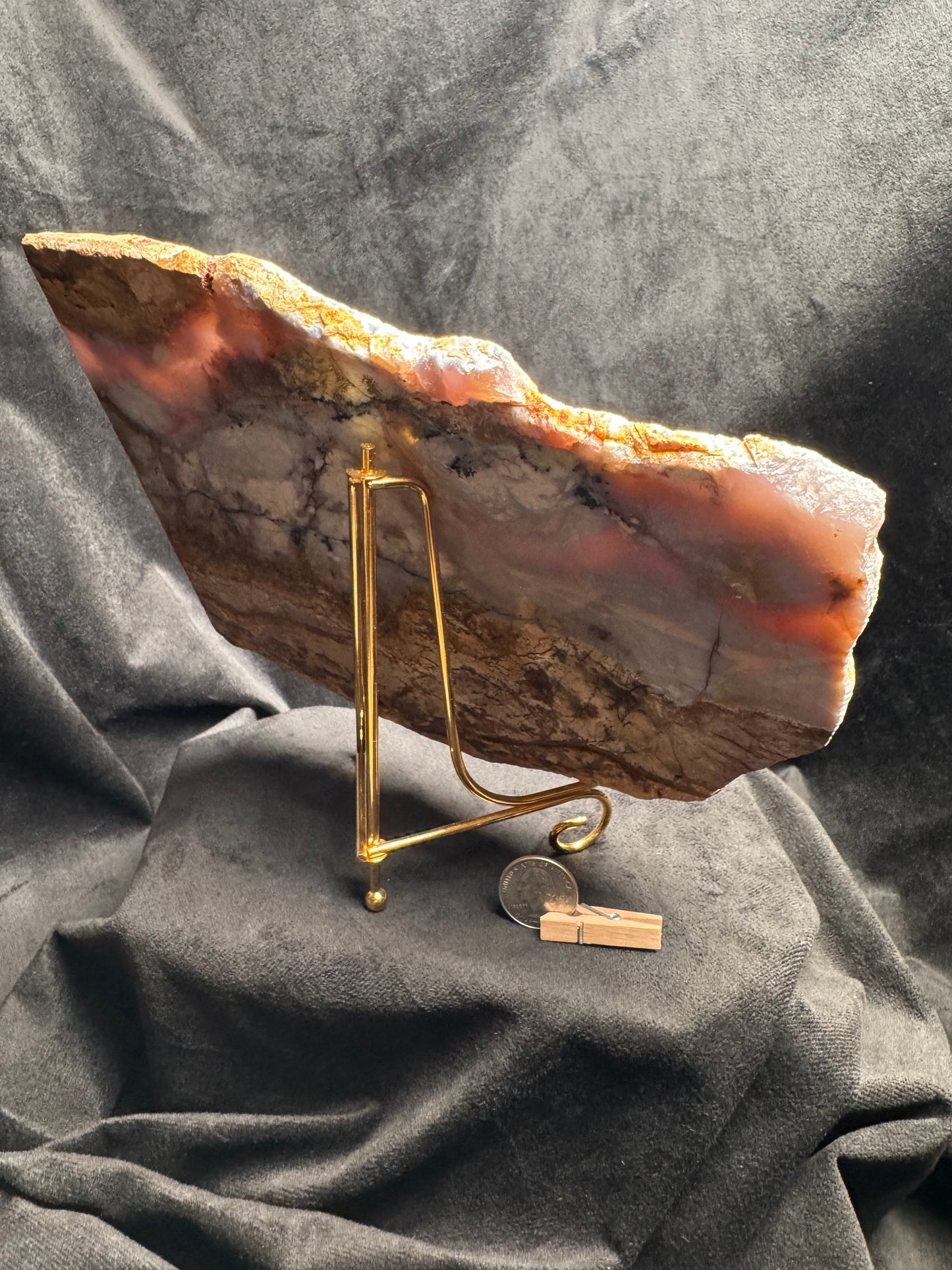 Blue Forest Petrified Wood Slab