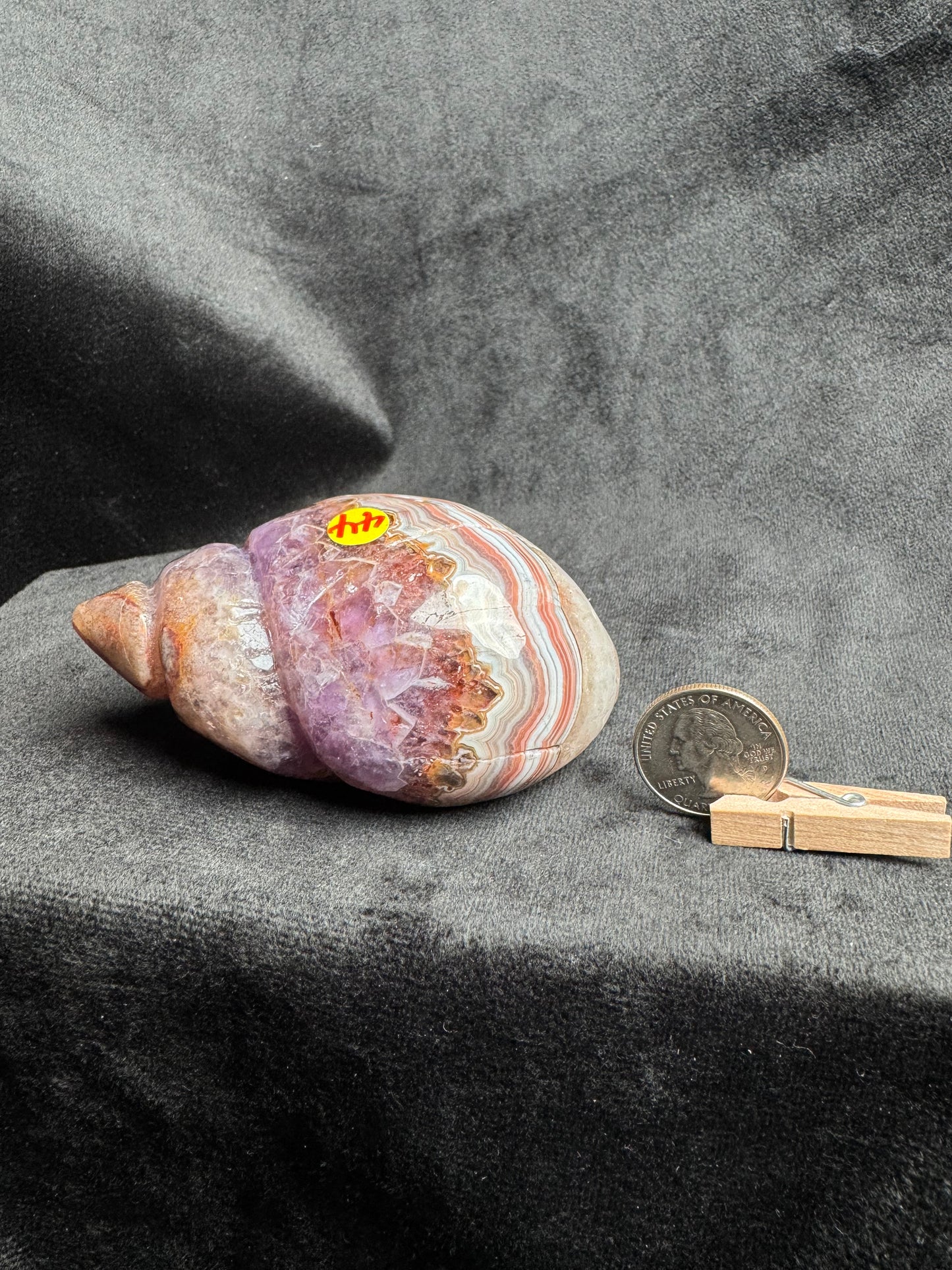 Crazy Lace Amethyst Shell Carving