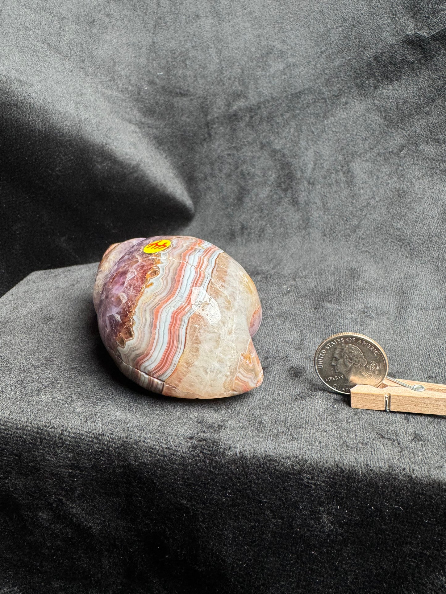 Crazy Lace Amethyst Shell Carving