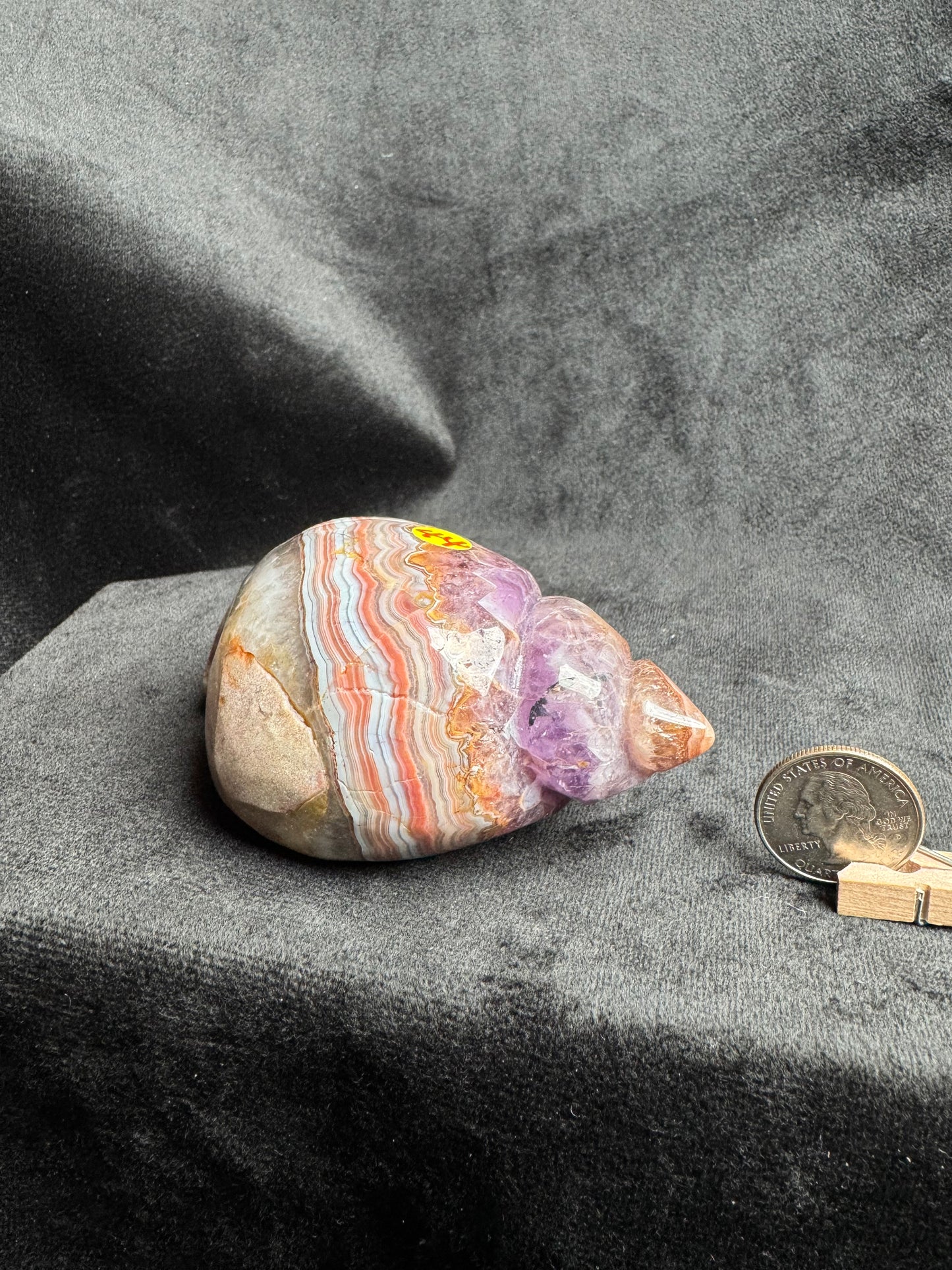 Crazy Lace Amethyst Shell Carving