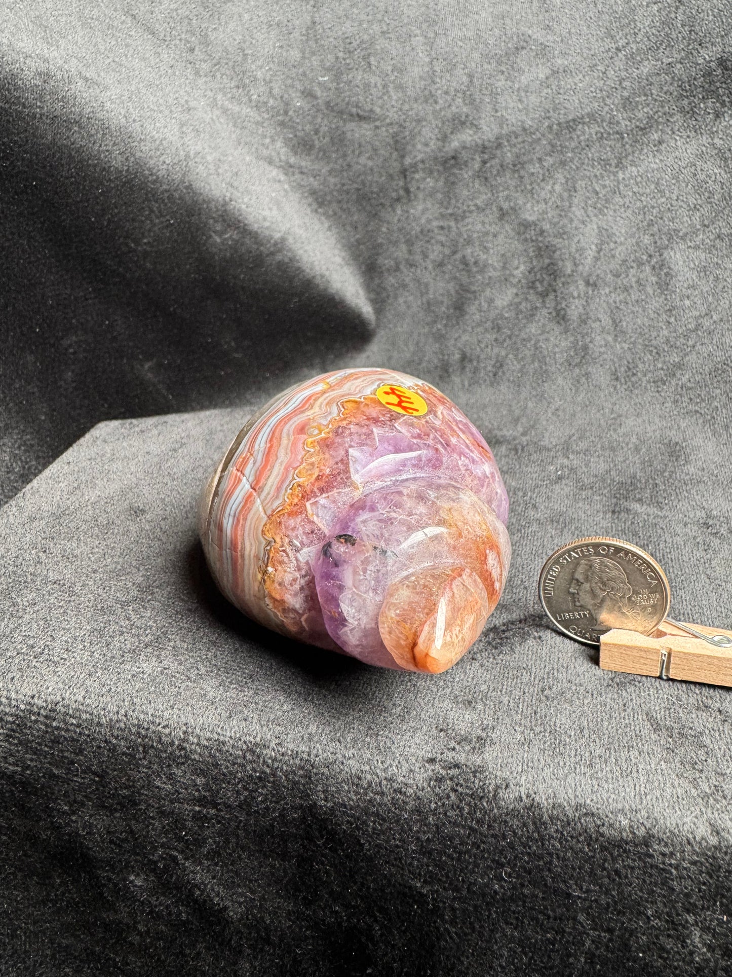 Crazy Lace Amethyst Shell Carving