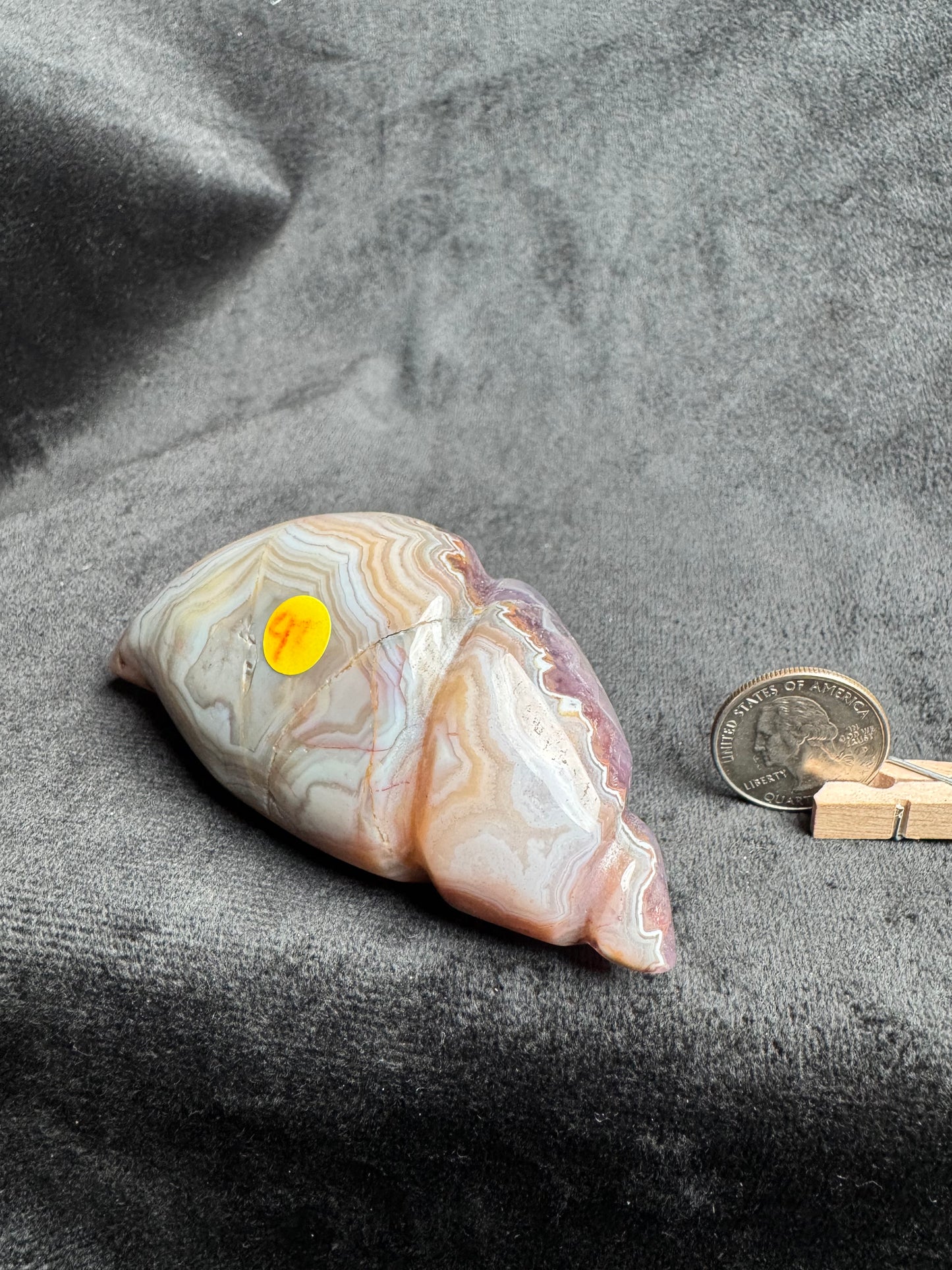 Crazy Lace Amethyst Shell Carving