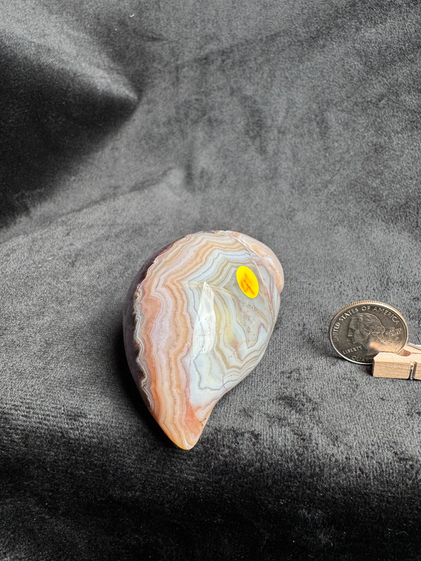 Crazy Lace Amethyst Shell Carving