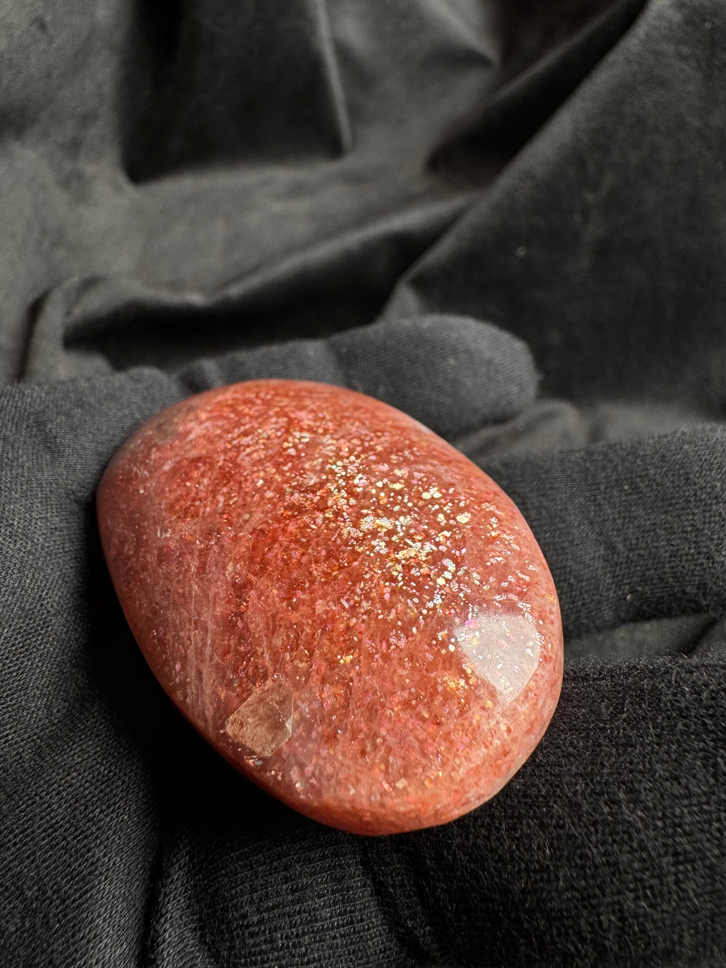 Arusha Sunstone Palm (High Quality)