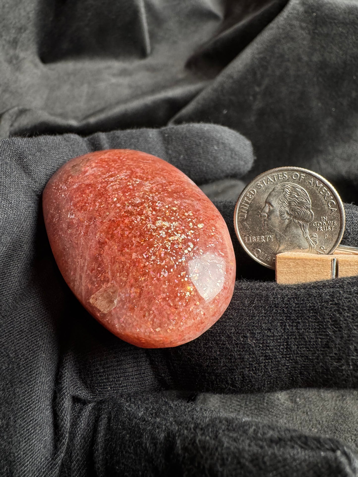 Arusha Sunstone Palm (High Quality)