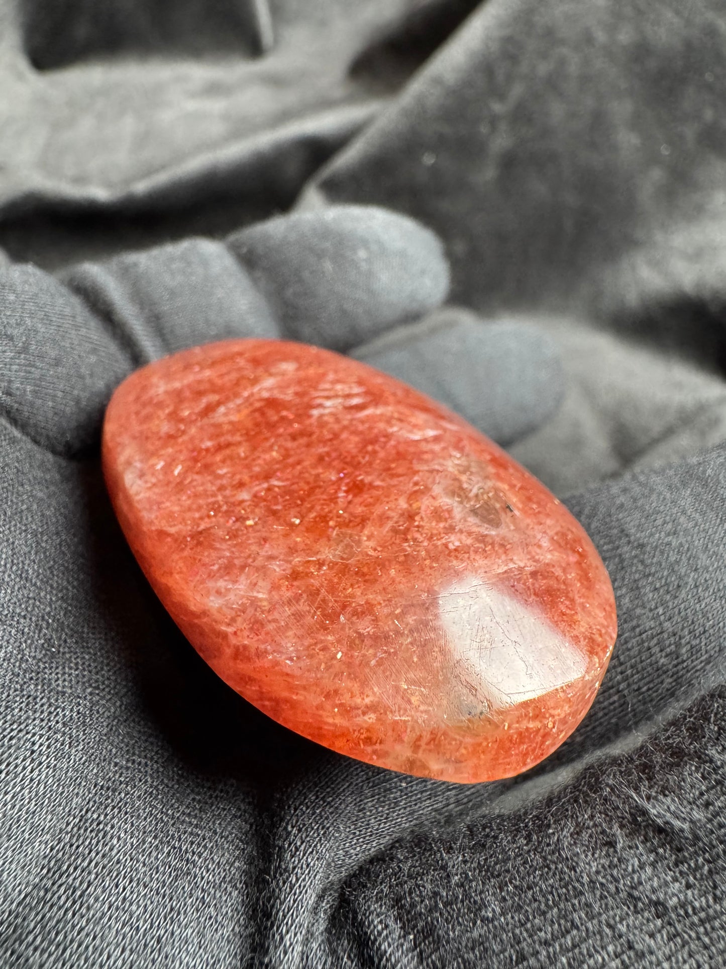 Arusha Sunstone Palm (High Quality)
