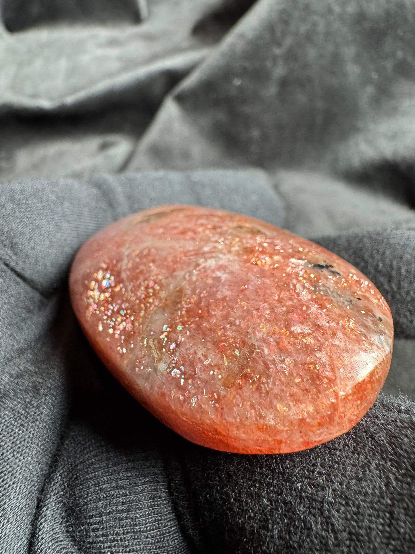 Arusha Sunstone Palm (High Quality)