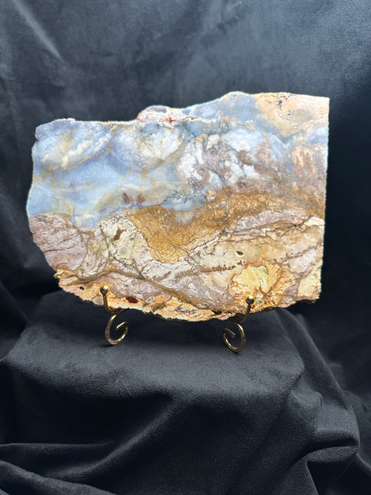 Blue Forest Petrified Wood Slab