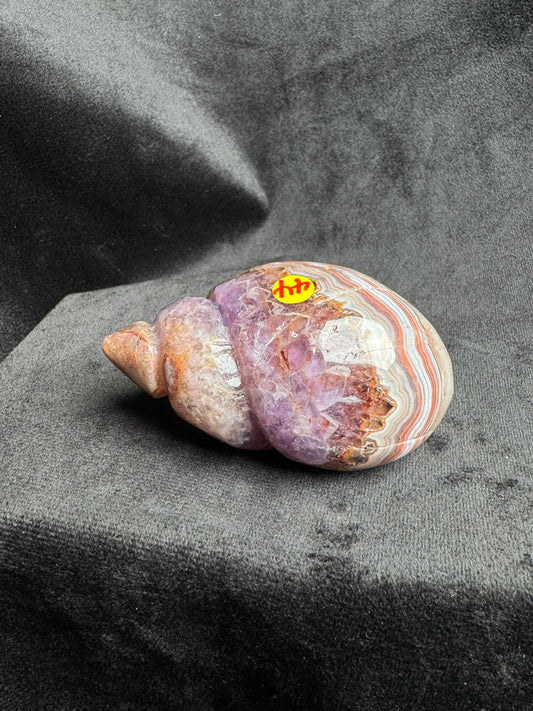 Crazy Lace Amethyst Shell Carving