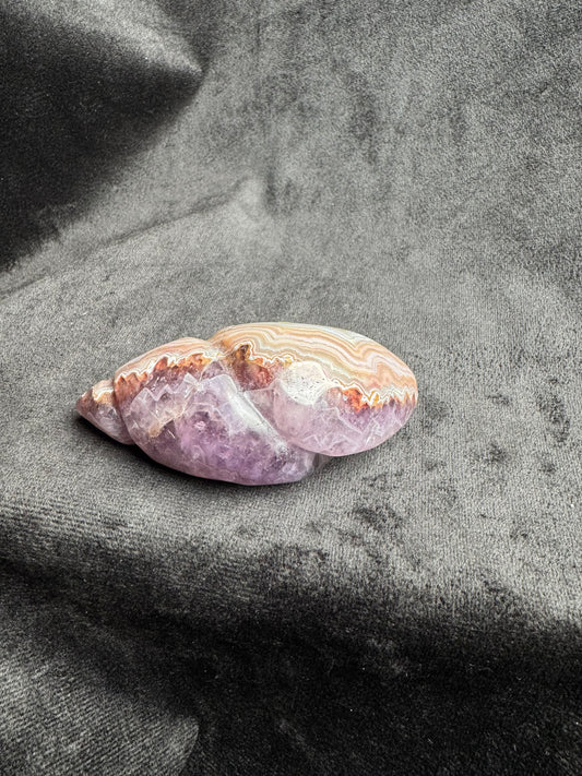 Crazy Lace Amethyst Shell Carving
